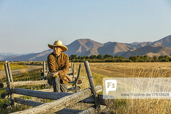 USA  Idaho  Bellevue  Rancher lehnt an Zaun auf Feld