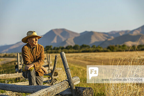 USA  Idaho  Bellevue  Rancher lehnt an Zaun auf Feld