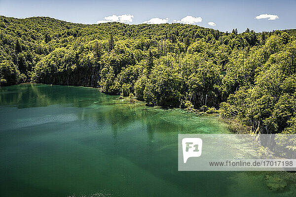 Türkisfarbener See und Wald  Luftaufnahme