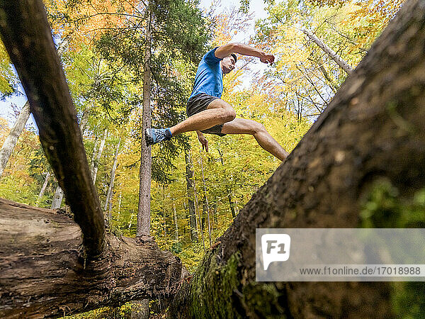 Junger Sportler springt über einen Baumstamm beim Trailrunning am Kappelberg  Deutschland