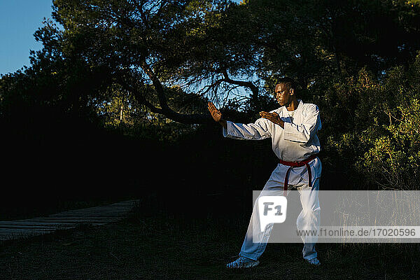 Adult man practicing martial arts in forest at dusk
