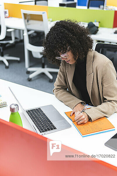 Junge Geschäftsfrau mit Laptop  die in ihr Tagebuch schreibt  während sie am Schreibtisch im Büro arbeitet