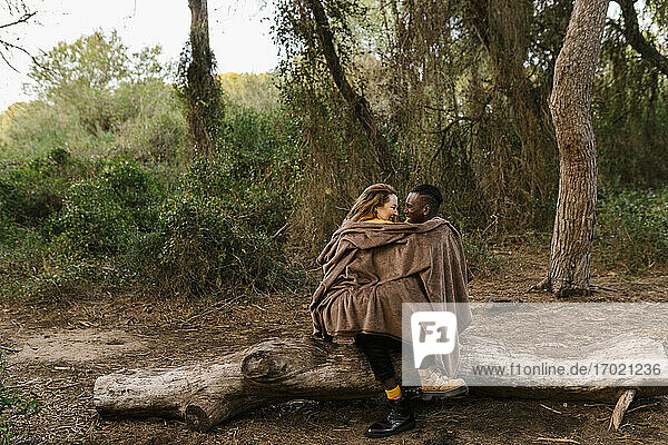 In eine Decke eingewickeltes Paar sitzt von Angesicht zu Angesicht auf einem umgestürzten Baum im Wald