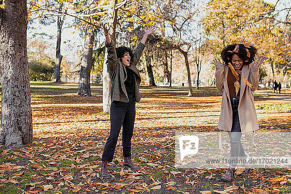 Carefree friends playing with dry leaf while standing at park