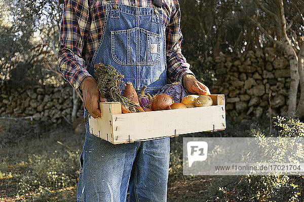 Junger Mann hält Gemüsekiste auf dem Bauernhof