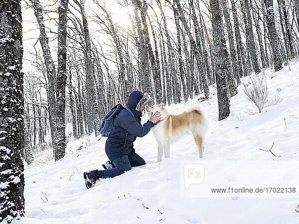 Mid adult man stroking dog while kneeling on snow land in forest