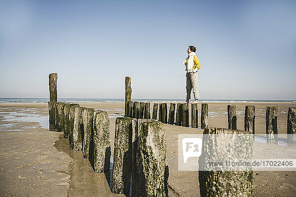 Frau steht auf Holzpfosten am Strand gegen den klaren Himmel an einem sonnigen Tag