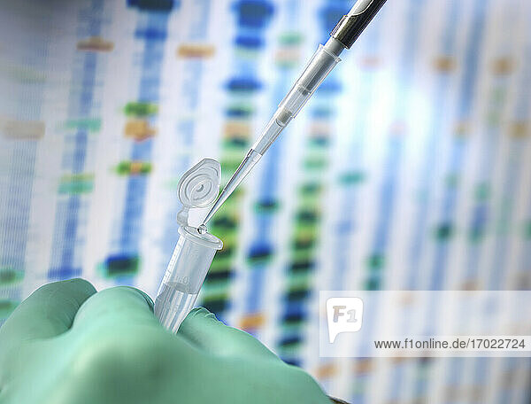 DNA-Wissenschaften  Wissenschaftler  der eine Probe in ein Fläschchen pipettiert  das für die automatische Analyse im Alterslabor bereit ist  mit den DNA-Ergebnissen auf dem Bildschirm