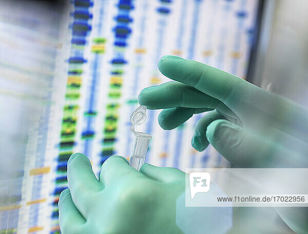 DNA-Wissenschaften  Wissenschaftlerin mit einer Probe in einem Fläschchen  das für die automatische Analyse im Alterslabor bereit ist  mit den DNA-Ergebnissen auf dem Bildschirm