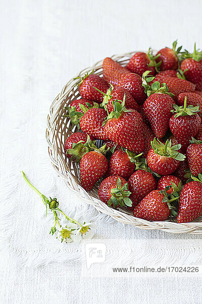 Frische Erdbeeren in einem Körbchen