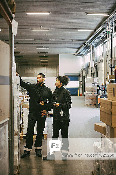Female and male colleagues examining at distribution warehouse