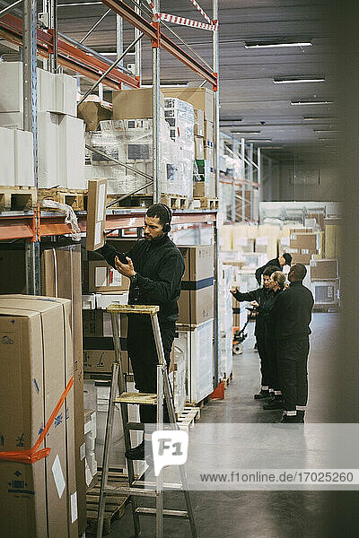 Männlicher Arbeiter  der auf einer Leiter stehend im Logistiklager das Inventar überprüft