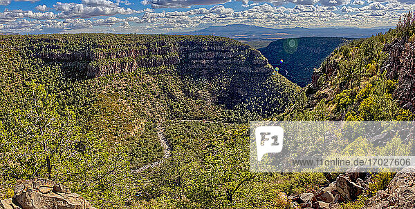 Oberer Abschnitt des Bear Canyon mit Blick nach Süden  gelegen im nordöstlichen Abschnitt des Prescott National Forest in der Nähe von Drake  Arizona  Vereinigte Staaten von Amerika  Nordamerika