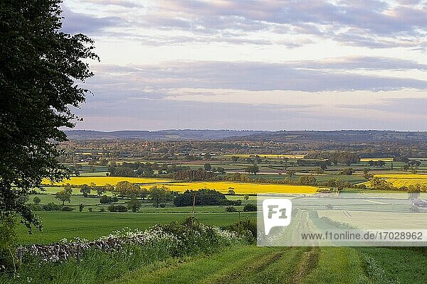 Cotswold-Landschaft  das Evenlode-Tal  bei Longborough  Gloucestershire  England  Vereinigtes Königreich  Europa