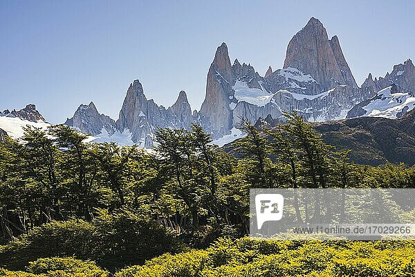 Berg Fitz Roy (auch bekannt als Cerro Chalten)  Nationalpark Los Glaciares  El Chalten  Patagonien  Argentinien