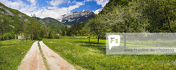 Soca-Tal-Panorama  Slowenien. Julische Alpen  gesehen vom Soca-Tal im Triglav-Nationalpark  Julische Alpen  Slowenien  Europa