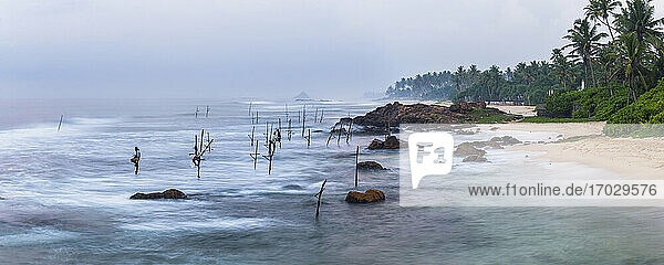 Stelzenfischer  Stelzenfischer am Strand von Midigama  nahe Weligama  Südküste  Sri Lanka  Asien