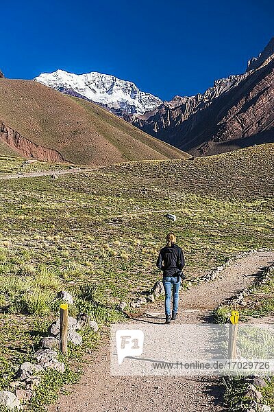 Walking in Aconcagua Provincial Park in front of the 6 961m peak  which makes Aconcagua the highest mountain in the Andes Mountain Range  Mendoza Province  Argentina