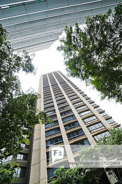 Bürogebäude im Geschäftsviertel von Brisbane  Queensland  Australien