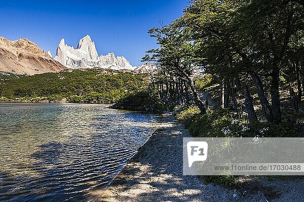 Lago Capri (Capri-See) mit dem Berg Fitz Roy (alias Cerro Chalten) im Hintergrund  Nationalpark Los Glaciares  El Chalten  Patagonien  Argentinien