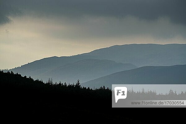 Berglandschaft  gesehen vom Ben Lomond im Loch Lomond and the Trossachs National Park  Schottische Highlands  Schottland