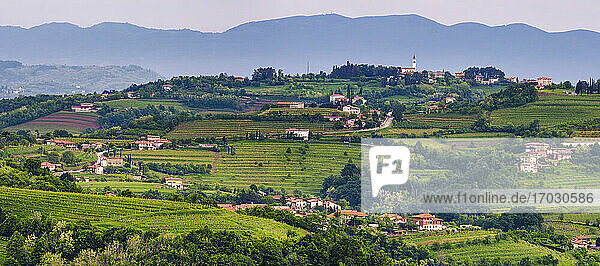 Weinberge in Goriska Brda  mit der Chiesa di San Floriano del Collio auf dem Hügel  Goriska Brda (Gorizia Hills)  Slowenien  Europa