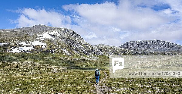 Wanderin auf Weg durch die Tundra  karge Landschaft  Dovrefjell Nationalpark  Oppdal  Norwegen  Europa