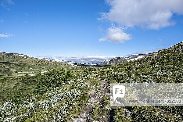 Wanderweg im Fjell mit Bergen  hinten Berg Snøhetta  Dovrefjell-Sunndalsfjella-Nationalpark  Norwegen  Europa