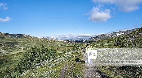 Wanderer auf Wanderweg im Fjell mit Bergen  Dovrefjell-Sunndalsfjella-Nationalpark  Norwegen  Europa