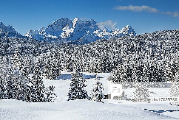 Winterliche Buckelwiesen mit Zugspitzgruppe im Wettersteingebirge  Krün  Werdenfelser Land  Oberbayern  Bayern  Deutschland  Europa