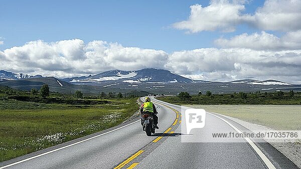 Motorcyclists on road through tundra  country road  Dovrefjell National Park  Oppdal  Norway  Europe