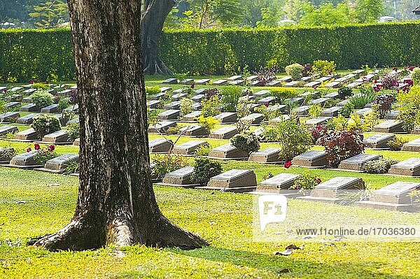 Reihen von Hunderten von Gräbern zwischen Bäumen auf dem Kriegsfriedhof Kanchanaburi  Thailand