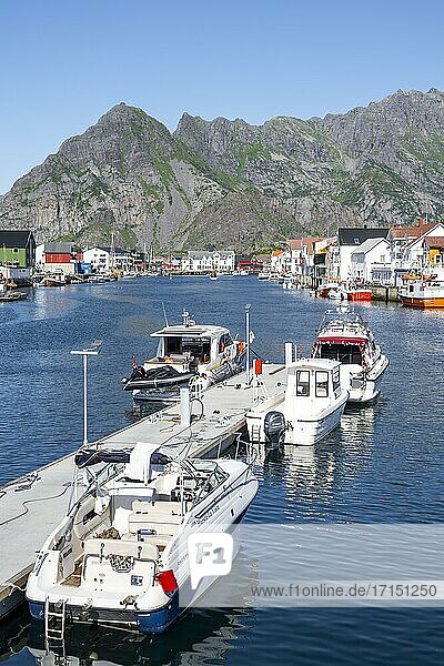 Hafen und Häuser  Henningsvær  Lofoten  Nordland  Norwegen  Europa