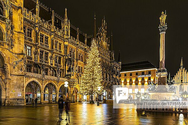City hall and Mariensäule at night  in Advent  without Christkindl market because of the Corona pandemic  Marien-Platz  Munich  Upper Bavaria  Bavaria  South Germany