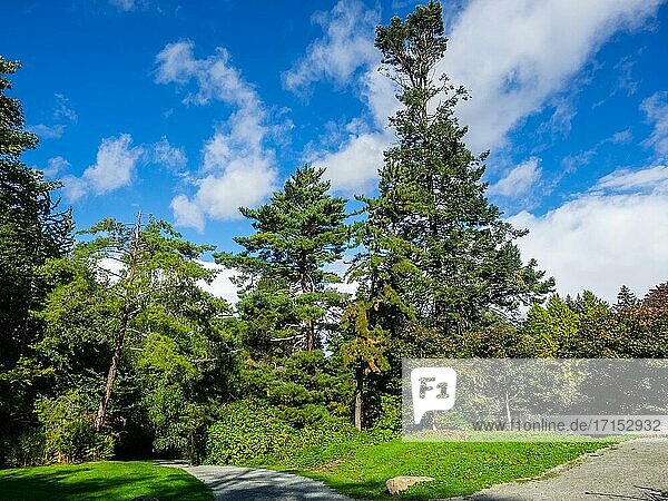 Kubota Garden ist ein 81.000 m? großer japanischer Garten im Stadtteil Rainier Beach von Seattle  Washington. Zu den Hauptmerkmalen des Kubota-Gartens gehören die Kubota-Terrasse  der Bambushain  die Teichkette  der Berghang und der Tom Kubota-Spaziergarten.