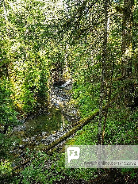 Franklin Falls ist ein Wasserfall am South Fork des Snoqualmie River  der erste von drei großen Wasserfällen am South Fork Snoqualmie River. Die Fälle befinden sich in der Nähe des Snoqualmie Passes in King County  Washington  USA  zwischen der Nord- und der Südspur der Interstate 90  unmittelbar östlich der Ausfahrt 47. Die Wasserfälle bestehen aus drei Stufen  die insgesamt etwa 41 m (135 Fuß) hoch sind. Der erste Wasserfall ist ein sehr malerischer  4 6 m (15 Fuß) hoher  blockförmiger Wasserfall. Der zweite Fall ist eine 7 6 m (25 Fuß) hohe  fächerförmige Kaskade. Der letzte Wasserfall beginnt als 25-Fuß-Rutsche  die nach rechts abbiegt und dann über den letzten 21-Meter-Wasserfall stürzt  den man vom Fuß des Wasserfalls aus sieht. Die Fälle sind ein beliebtes Ziel für Canyoningtouren. Die beiden oberen Wasserfälle befinden sich nördlich des Freeways.