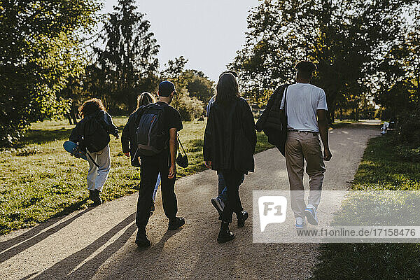 Rear view of friends walking on road in park