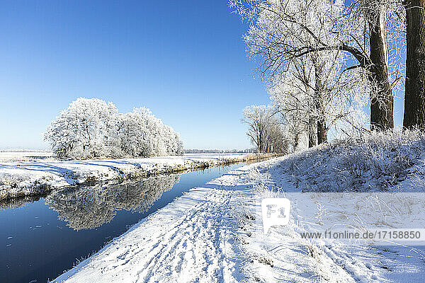 Germany  Brandenburg  Snow-covered trees reflecting in river