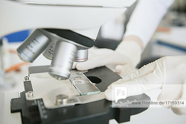 Crop-Ansicht der Hände eines Wissenschaftlers  der eine Probe zur Analyse mit dem Mikroskop im Labor einlegt