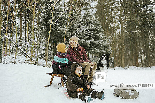 Smiling woman with girl child sitting on sled while spending weekend Border Collie during winter