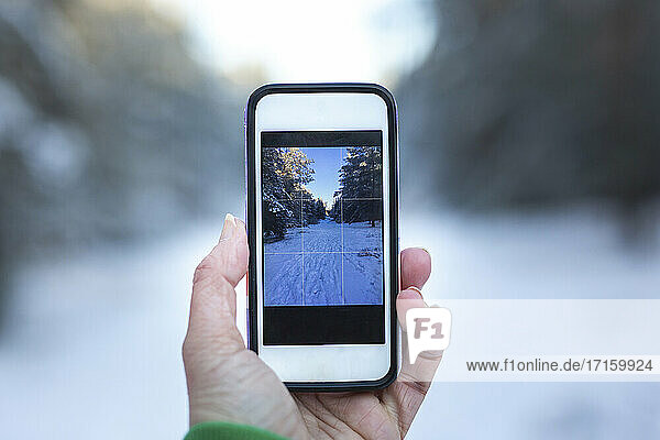 Germany  Brandenburg  Human hand holding smart phone in winter scenery