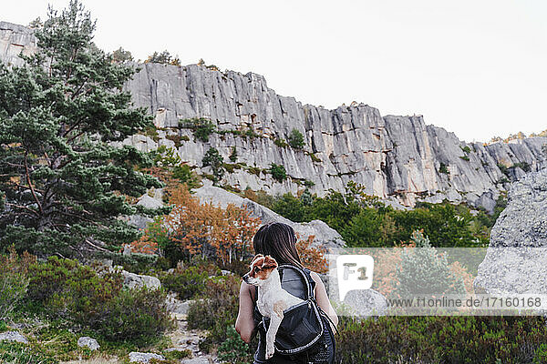 Frau mit Hund im Rucksack beim Wandern auf einem Berg