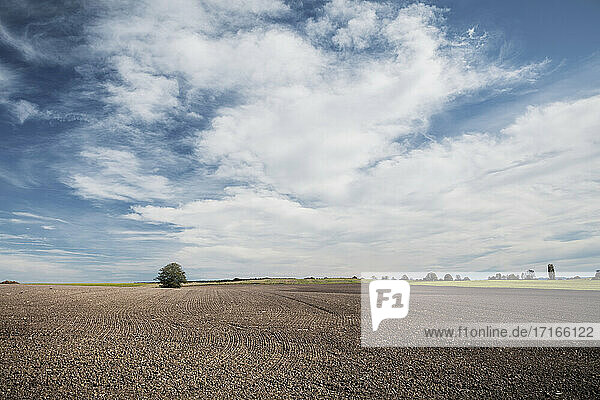 Plowed agricultural field against sky