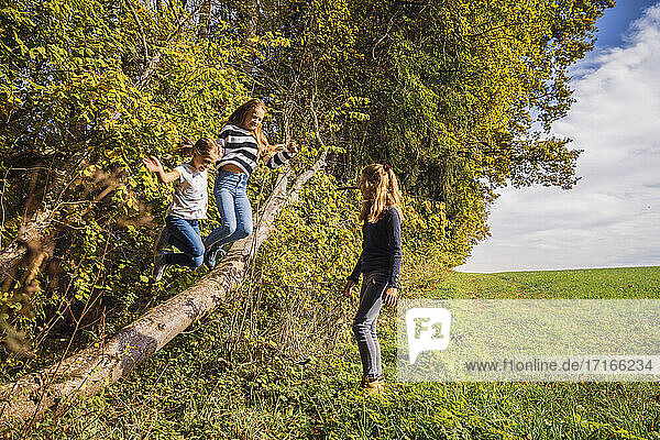 Girls holding hands while jumping from tree by friend standing at farm