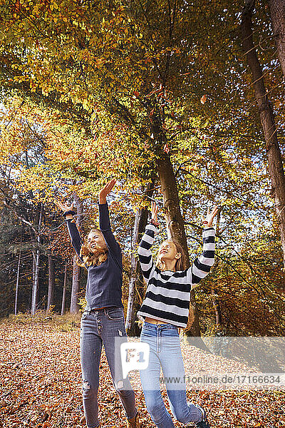 Girls throwing dry leaf while playing in forest