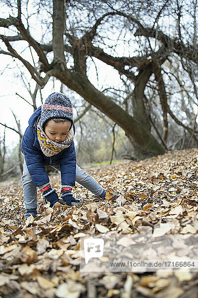 Mädchen spielt mit Herbstblättern im Wald