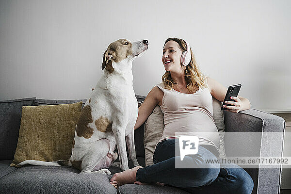Schwangere Mutter hört Musik über Kopfhörer  während sie mit ihrem Hund zu Hause auf dem Sofa sitzt