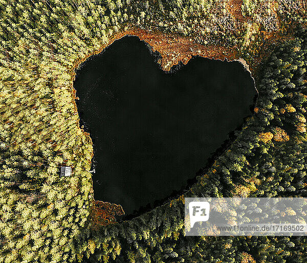 Blick auf einen herzförmigen See inmitten von Kiefern im Wald