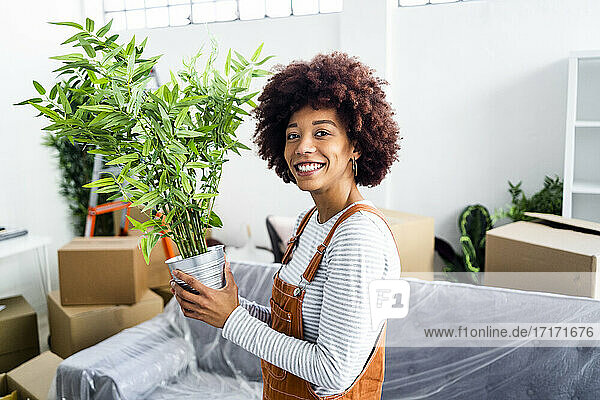 Fröhliche Afro-Frau mit Topfpflanze in neuer Loft-Wohnung