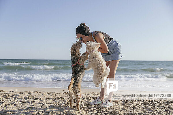 Frau spielt mit ihren Hunden am Strand